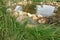 Small Artificial Decorative Pond On The Backyard In Summer