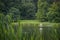 Small artificial island with a white pavilion for water birds on the lake in the idyllic landscape park of Putbus with reeds at