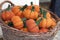 Small artificial pumpkins made of felt in a basket