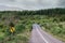 Small asphalt road with sharp bend sign. Mountains and emerald green forest in the background. Connemara, Ireland, county Galway.