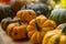 Small Assorted Harvest Pumpkins