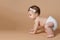 Small baby crawl on brown background