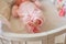 Small baby feet clad in pink romper. Tiny fingers of the newborn. The child has crossed legs and lies in a round white bed