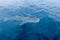 a small baby Whale Shark, shot from a boat, Nigaloo Reef Western Australia