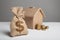 Small bag with dollar sign and gold coins on the background of the craft figure of the house. Rental price, real estate insurance