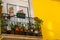 Small balcony with flower pots against bright yellow wall. Traditional portuguese outdoor design. Street decoration in Lisbon.