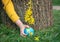 Small ball - a globe in the hand of a child in a yellow jacket, in it stands a blooming spring yellow twig