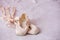 Small ballet shoes isolated