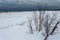 Small barren trees looking down a massive buildup of snow, sand and ice on Lake Michigan on gloomy overcast day