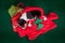 Small basenji puppy with cristmas decoration