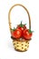 Small basket and three tomatoes cherries