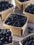 Small baskets of farmers market ready pints of blueberries