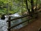 Small beautiful brook stream waterfall in a forest