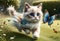 a small beautiful cartoon Ragdoll kitten runs across the lawn chasing a butterfly.