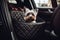 A small beautiful dog sits in a carrier in the car