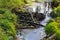 Small beaver dam made of wooden branches, sticks and twigs of small bushes, trunks of small young trees in  forest river with