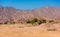 Small Bedouin buildings living in the mountains of the Sinai Peninsula