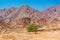 Small Bedouin buildings living in the mountains of the Sinai Peninsula