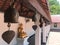 A small bell is hung in the temple area.