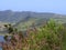 A small bird-azores bullfinch sits on a branch by the lake in Sete Cidades. The island of San Miguel