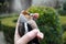 Small bird pecks the finger of a man\'s hand