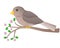 A small bird - a sparrow sits on a flowering branch - a full-color vector spring picture. Gray-brown cute bird on a branch with yo