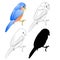 Small bird Thrush Bluebird silhouette and outline nature on a white background vintage vector illustration editable h