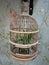 Small BirdCage in it put Artificial Plants as Decoration in The Room