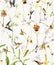 Small birds, spring meadow grass, flowers. Seamless pattern. Textile design.