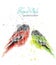 Small birds in watercolor Vector. Tropic colorful cute parrots