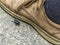Small black beetle next to light brown shoes