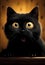 a small black cat surprised or scared, generated by AI, generative assistant