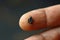 Small black mustard seeds on finger. Faith the size of a mustard seed. Generative AI.