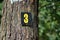 Small black sign with yellow number 3 attached to tree bark