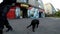 a small black stray dog walks near the store and asks people for food