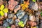 Small black, white and red pebble background with autumn yellow autumn leaves. Top view of stone gravel texture. green