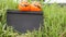 Small blackboard and artificial pumpkins on the grass