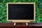 A small blackboard placed on a wooden table The back is a green tree. For educational illustration
