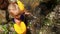 Small blond girl in armbands bathes in mountain river