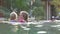 Small Blonde Child Swim with Mother