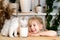 A small blonde girl sits at a table with a white Scottish kitten smiles and watches as the kitten drinks milk from her glass