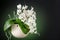 A small blooming white orchid of genus phalaenopsis, variety Soft Cloud, in ceramic hanging pot