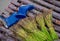 Small blue boots and Rice-sheaf ready to grow, asian country agriculture concept