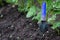 Small blue garden shovel on potatoes beds in sunny day. Selective focus, copy space.