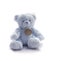 Small Blue Teddy Bear Toy