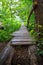 Small boardwalk across a creek in the garden