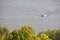 Small boat sailing down the river on a background of trees