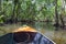 Small boat sailing on mangroves green water