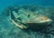 A small boat wreck underwater Mediterranean sea