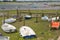 Small boats in a circle at low tide. Bosham Quay.